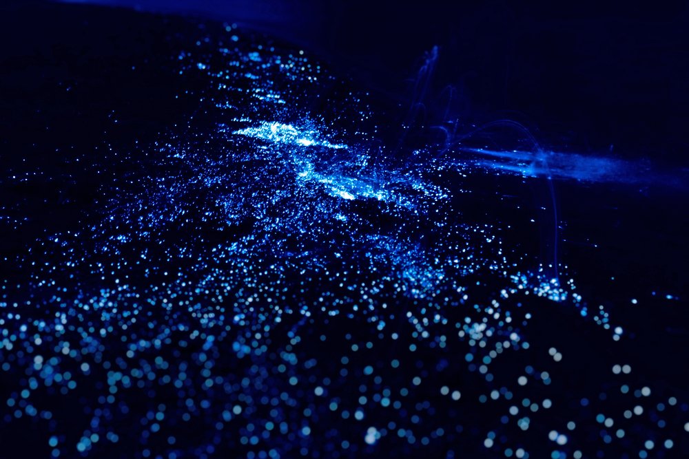 สารสกัดจากแพลงตอน (Plankton Extract)