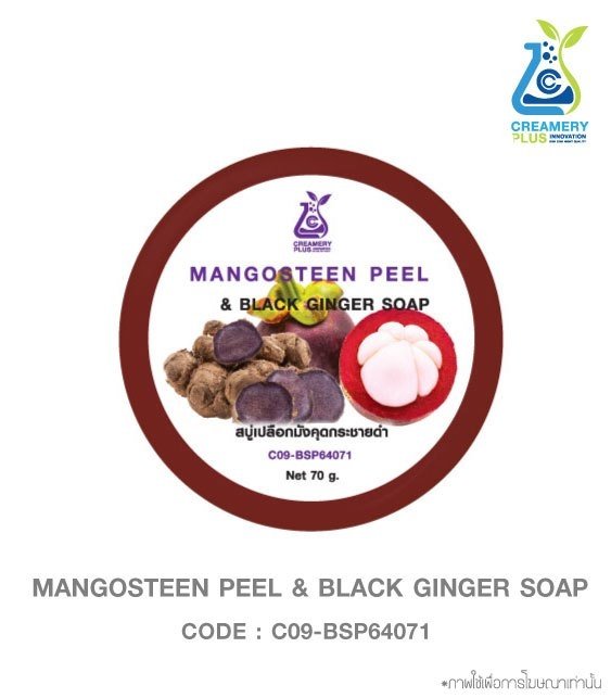 Mangosteen Peel & Black Ginger Soap