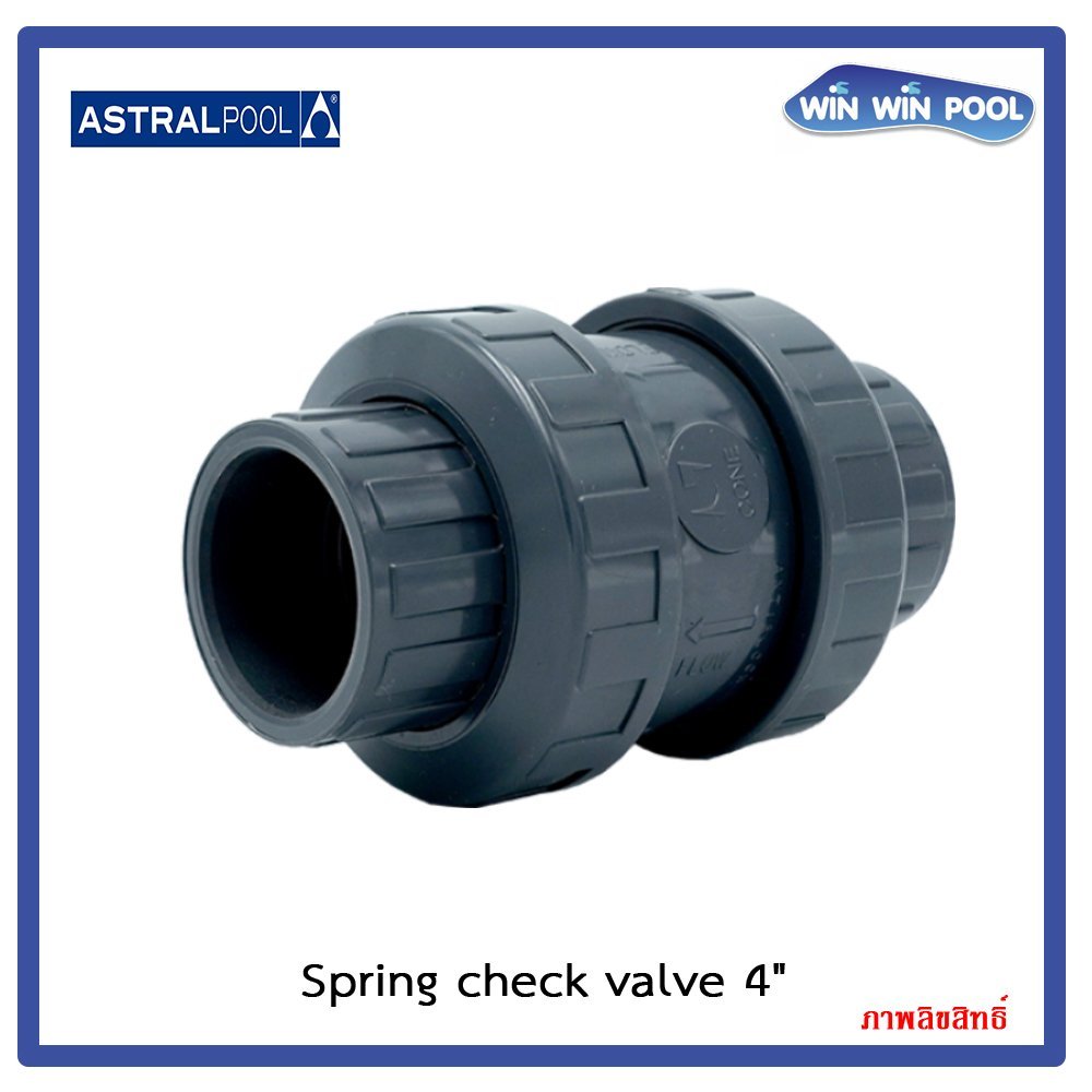 สปริงเช็ควาล์ว/Astral pool/Cepex/ Spring check valve / 4