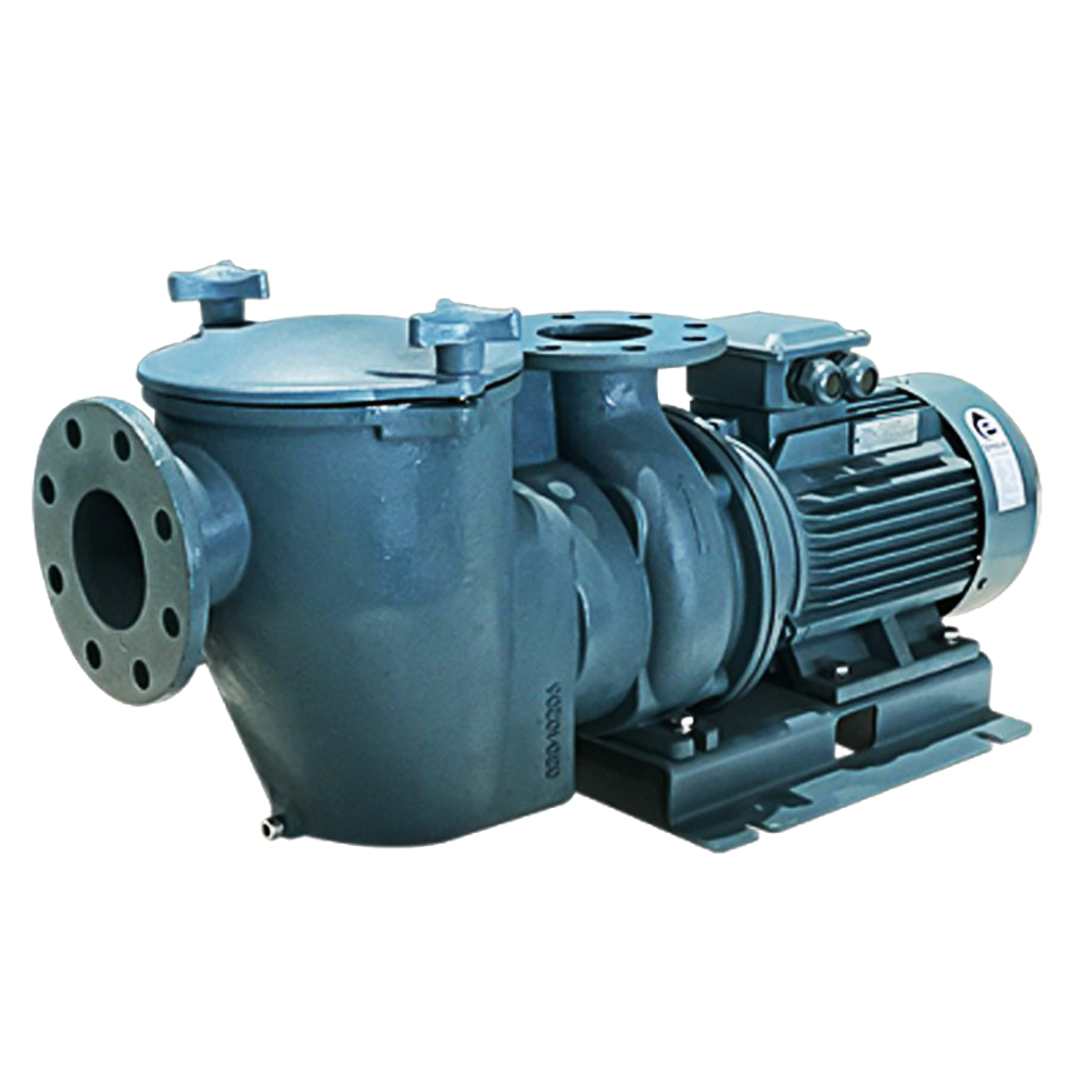 SE Commercial Iron Pump SE Commercial Iron Pump