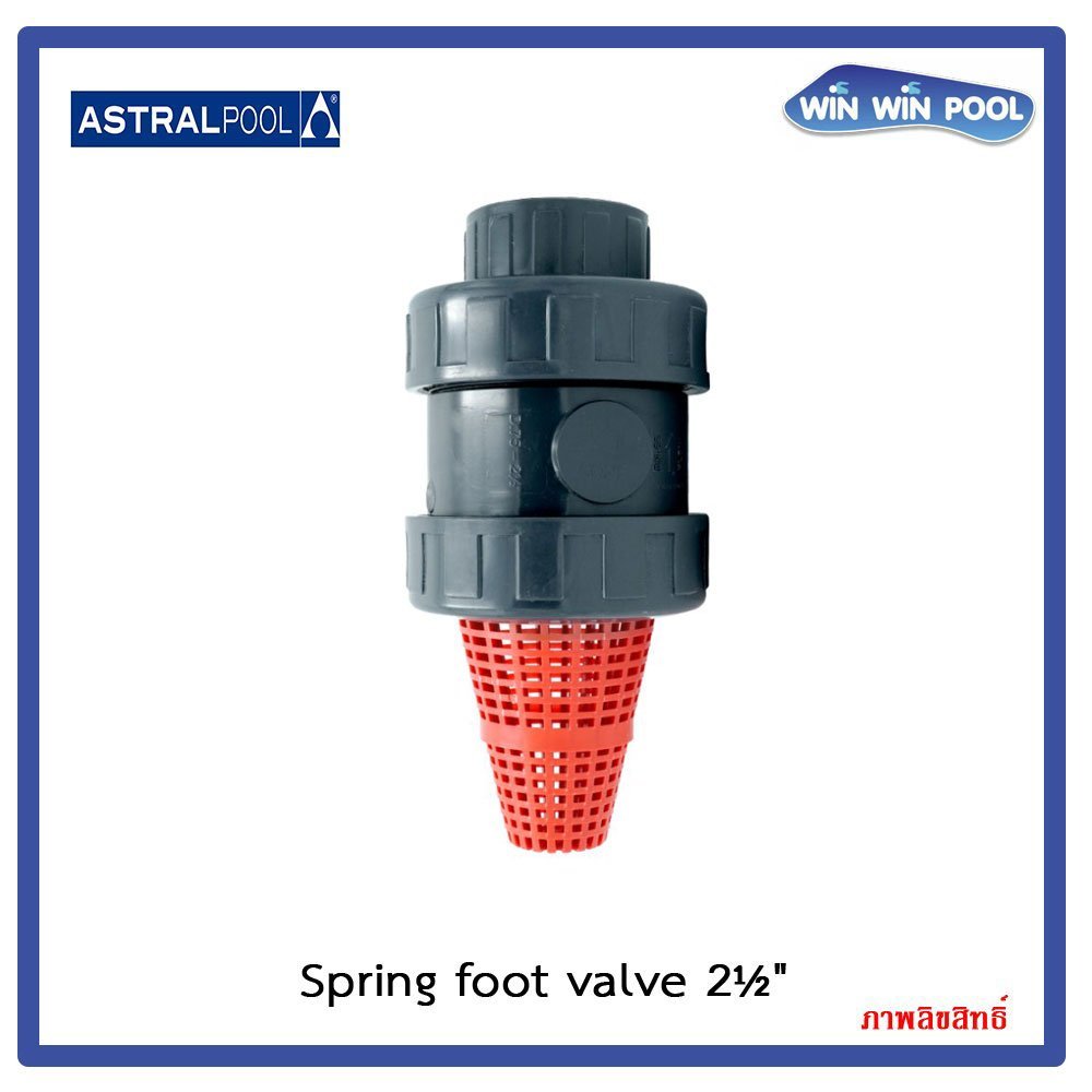 Pool Ad Valve Spring Astralpool Spring Foot Valve - Winwinpool sells all types of swimming ...