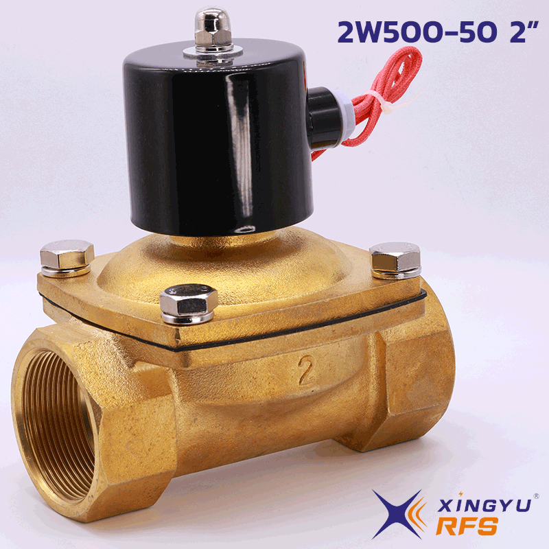 2W500-50 2" solenoid valve