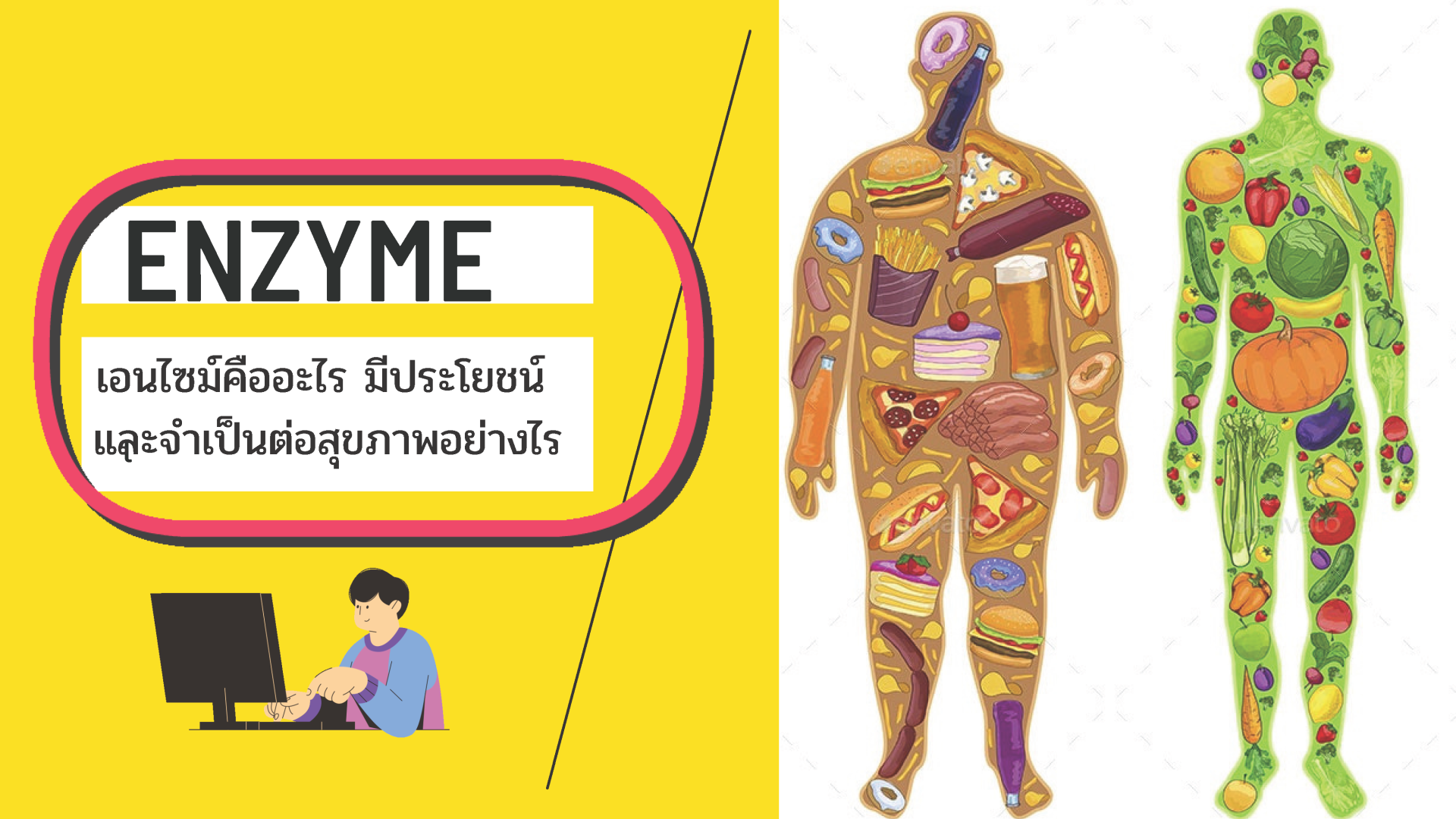 เอนไซม์คืออะไร