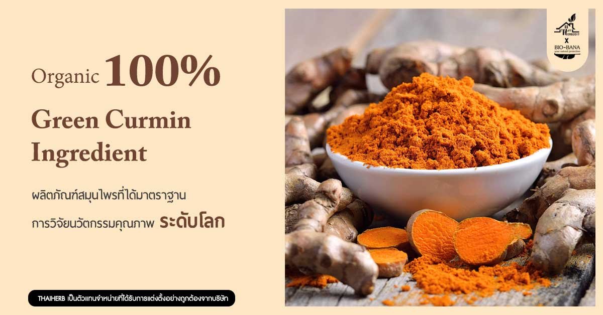 Why? choose Green curmin... ทำไมต้องเลือกเรา... Why? choose Green curmin... ทำไมต้องเลือกเรา...