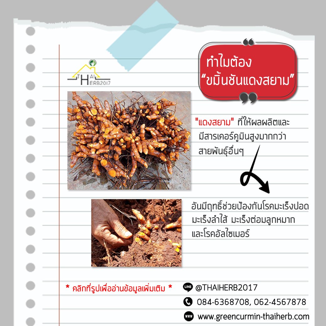 ทำไมต้องขมิ้นชันสายพันธุ์ “แดงสยาม”  สายพันธุ์ที่เราเลือกสรรมาไว้ใน “กรีนเคอมิน” ทำไมต้องขมิ้นชันสายพันธุ์ “แดงสยาม”  สายพันธุ์ที่เราเลือกสรรมาไว้ใน “กรีนเคอมิน”