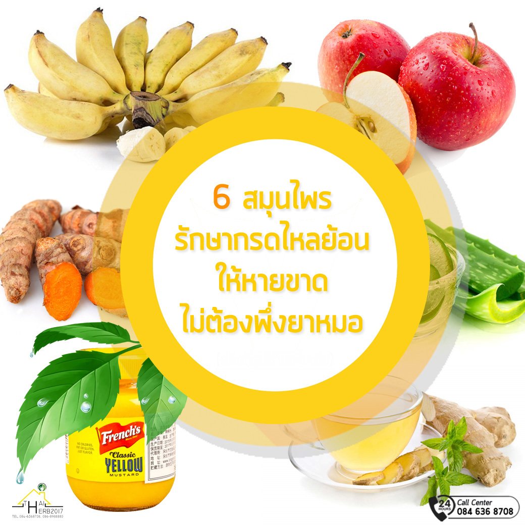 6 สมุนไพรรักษากรดไหลย้อนให้หายขาด โดยไม่ต้องพึ่งยาหมอ 6 สมุนไพรรักษากรดไหลย้อนให้หายขาด โดยไม่ต้องพึ่งยาหมอ