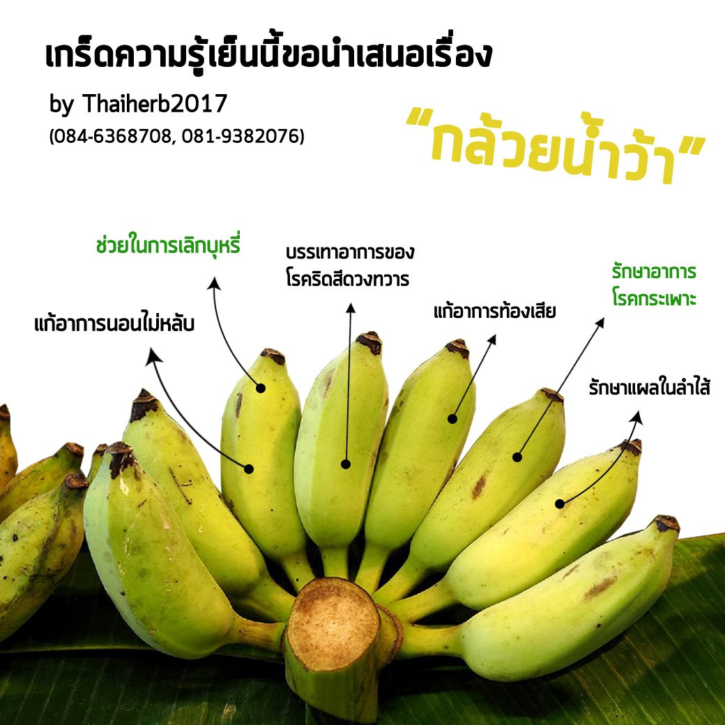 กล้วยน้ำว้าเพื่อสุขภาพ กล้วยน้ำว้าเพื่อสุขภาพ