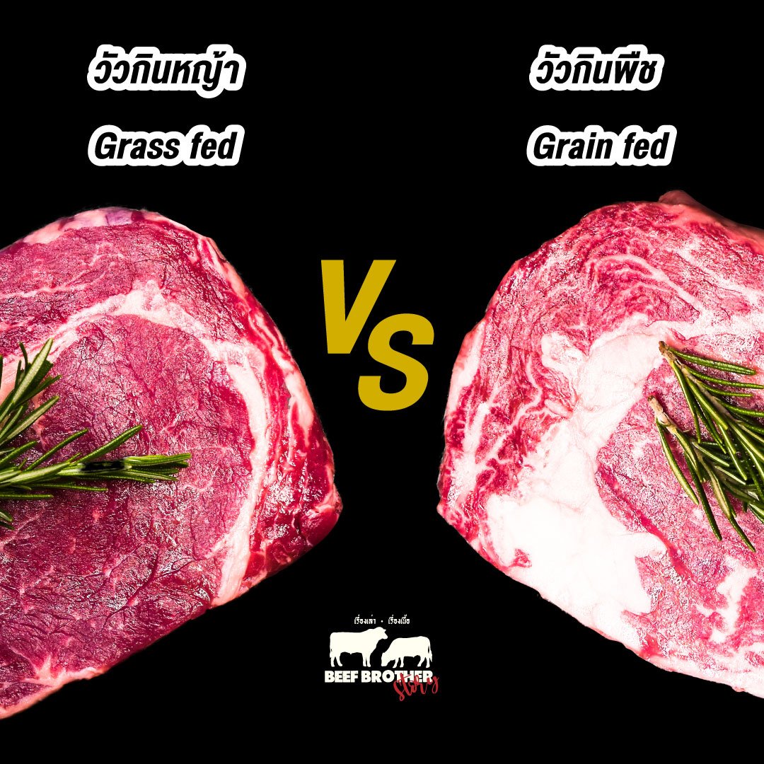 Grass Fed แตกต่างกับ Grain Fed