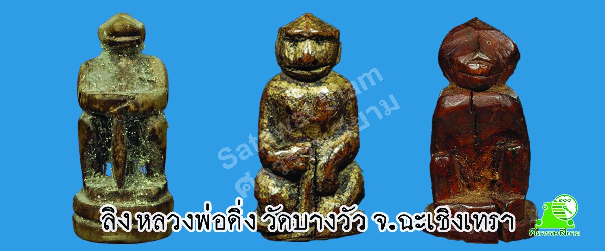 ลิง หลวงพ่อดิ่ง วัดบางวัว จ.ฉะเชิงเทรา - Satawatsiam