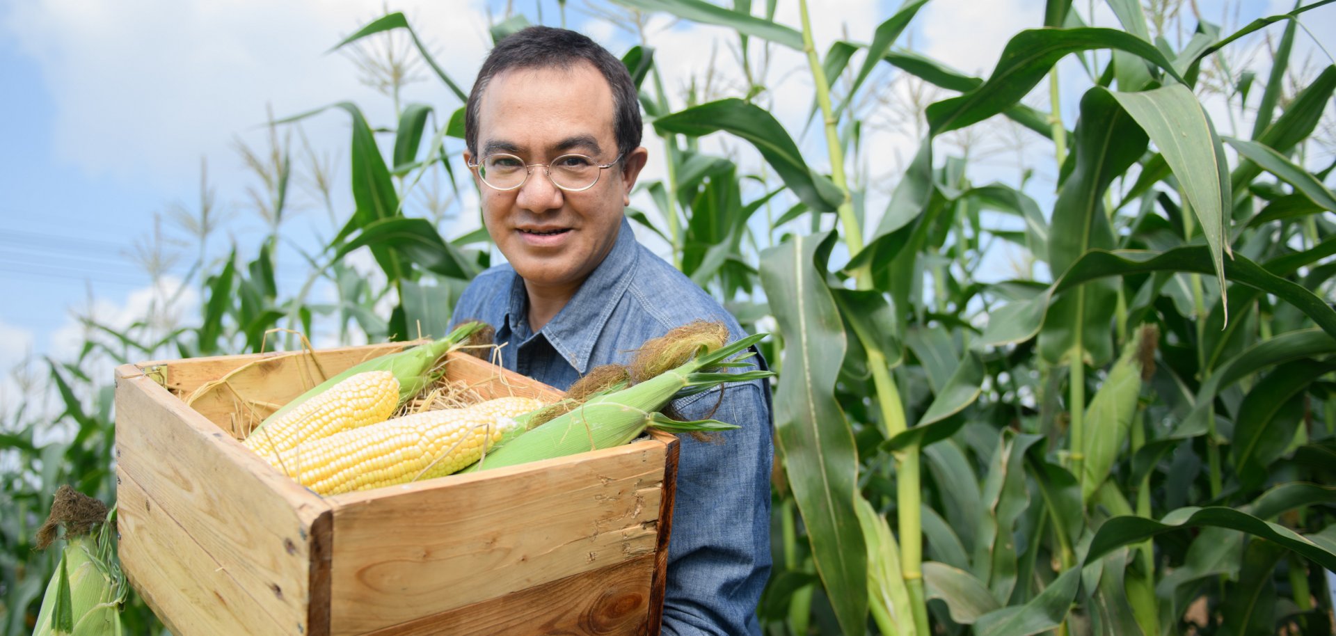 ข้าวโพดหวาน Sweet Corn