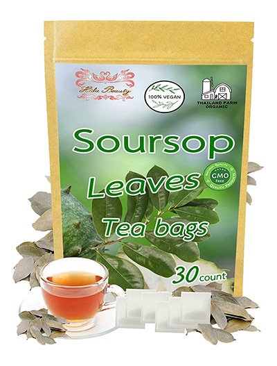 Soursop Graviola Leaves Dried Guanabana Leaf Tea 30 Tea Bags 