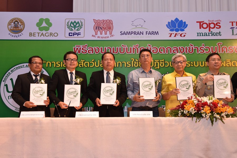 Free antibiotics domestication program of Samphran Farm Free antibiotics domestication program of Samphran Farm