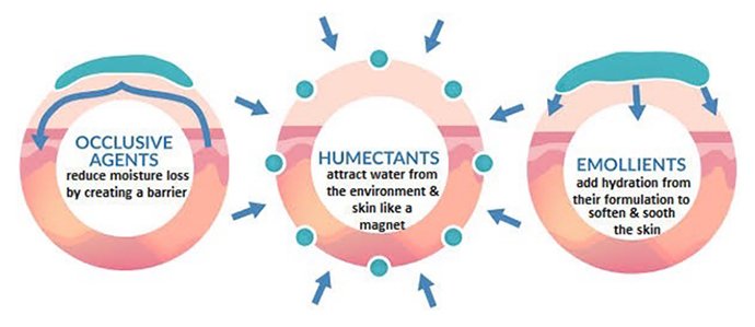 เทคนิคนิคการเลือก Moisturizer ครีมให้ความชุ่มชื้นผิว เทคนิคนิคการเลือก Moisturizer ครีมให้ความชุ่มชื้นผิว