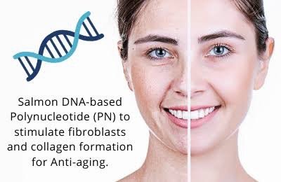 REJURAN HEALER เทคโนโลยี PN Polynucleotide ดูแลปัญหาหลุมสิว REJURAN HEALER เทคโนโลยี PN Polynucleotide ดูแลปัญหาหลุมสิว