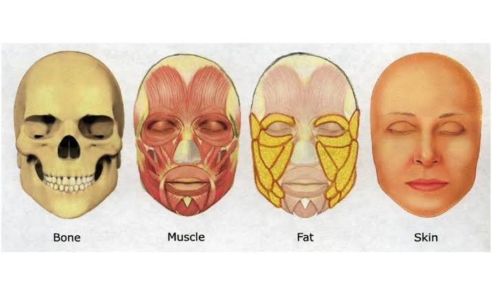 เทคนิคดูแลผิว สำหรับวัย 20-30-40-50 + เทคนิคดูแลผิว สำหรับวัย 20-30-40-50 +