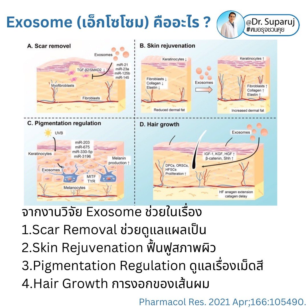 Exosome (เอ็กโซโซม) คือ เทคโนโลยีที่มีองค์ประกอบของโปรตีนขนาดเล็กมาก เป็นลักษณะวงกลมขนาดเพียง 30-100 nm ซึ่งมีขนาดเล็กกว่าเซลล์ทั่วไปถึง 1/1,000 เท่า โดยใน Exosome มีสารชีวโมเลกุล 1,000 ชนิด  Exosome (เอ็กโซโซม) คือ เทคโนโลยีที่มีองค์ประกอบของโปรตีนขนาดเล็กมาก เป็นลักษณะวงกลมขนาดเพียง 30-100 nm ซึ่งมีขนาดเล็กกว่าเซลล์ทั่วไปถึง 1/1,000 เท่า โดยใน Exosome มีสารชีวโมเลกุล 1,000 ชนิด