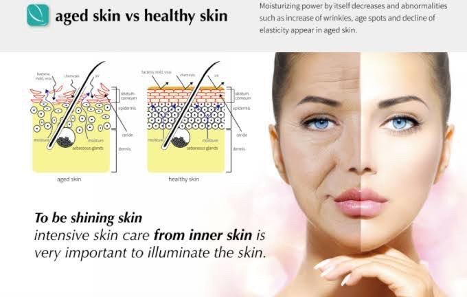 Rejuran Healer Polynucleotide: ฟื้นฟูสร้างเซลล์ผิวใหม่ ดูแลหลุมสิว รูขุมขนกว้าง ริ้วรอย Rejuran Healer Polynucleotide: ฟื้นฟูสร้างเซลล์ผิวใหม่ ดูแลหลุมสิว รูขุมขนกว้าง ริ้วรอย