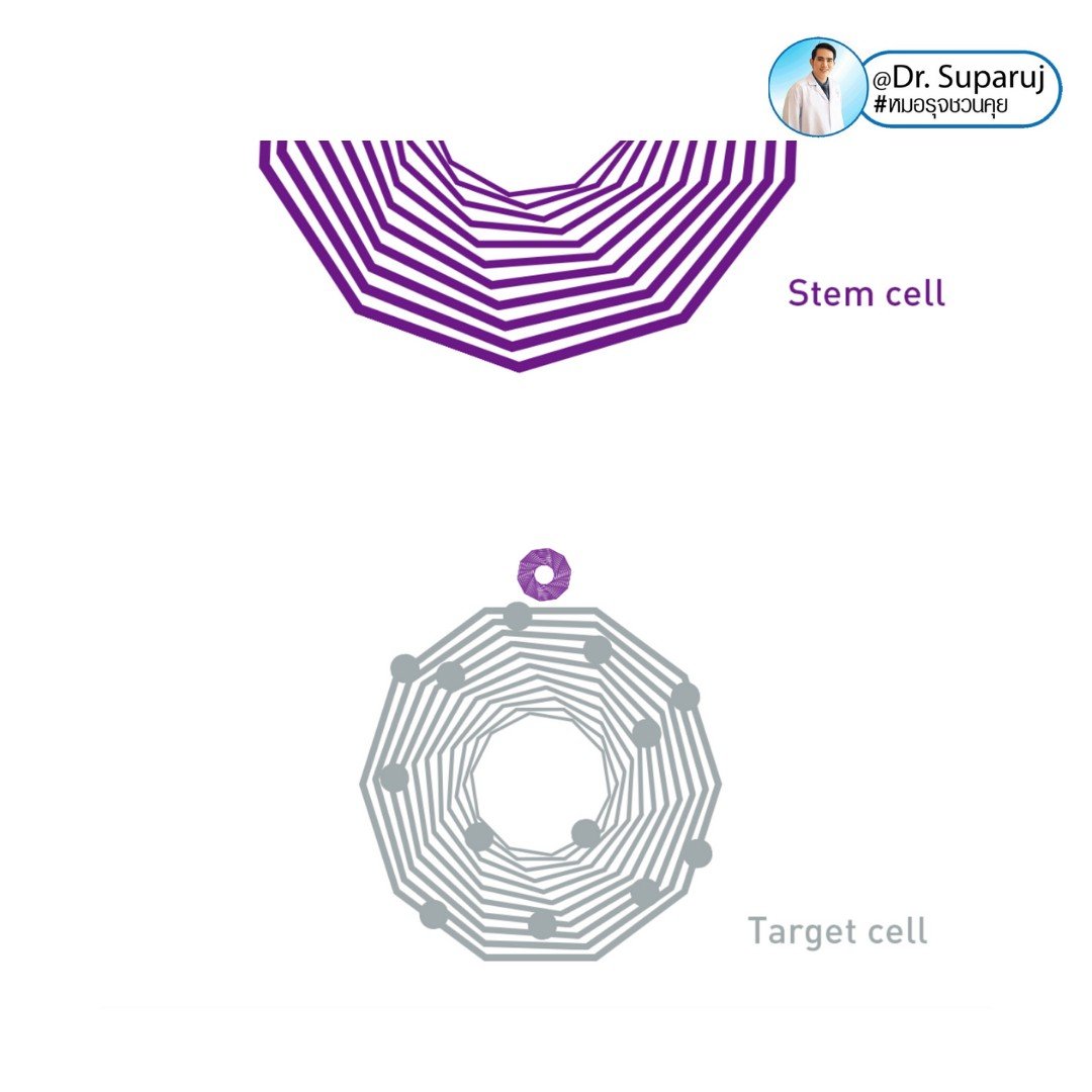 Exosome (เอ็กโซโซม) คืออะไร? & ช่วยเรื่องปัญหาผิวหนังได้อย่างไรบ้าง? Exosome (เอ็กโซโซม) คืออะไร? & ช่วยเรื่องปัญหาผิวหนังได้อย่างไรบ้าง?