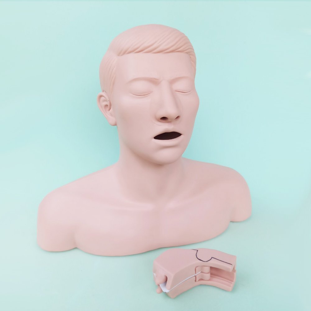 E002 หุ่นฝึกการห้ามเลือดในโพรงจมูก (เต็มตัว) / Nasal Packing  Model