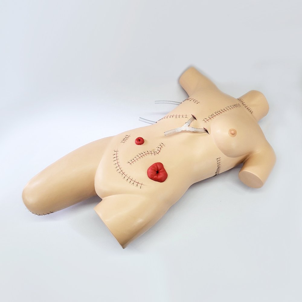 OT025 หุ่นฝึกการดูแลแผลและพันแผล / Surgical Sally Bandaging Training Model