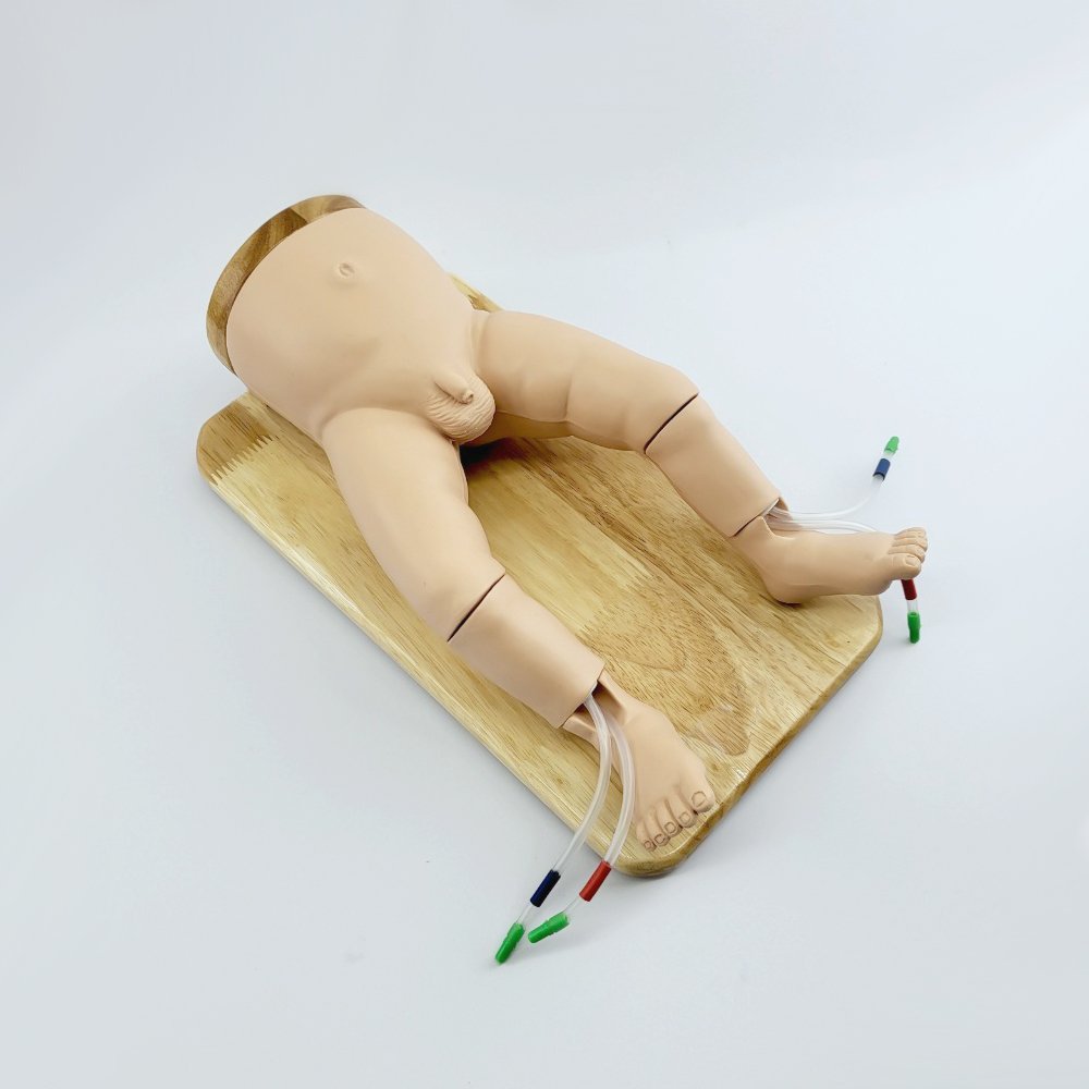 P004 หุ่นฝึกให้สารน้ำและยาทางไขกระดูก / Intraosseous Simulator