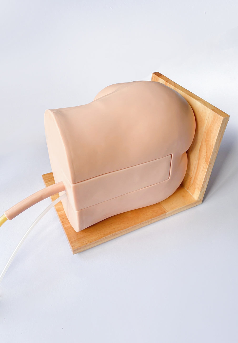 A 003 หุ่นฝึกทำ Epidural  Injection