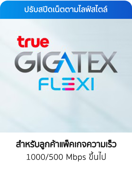 ปรับความเร็วได้