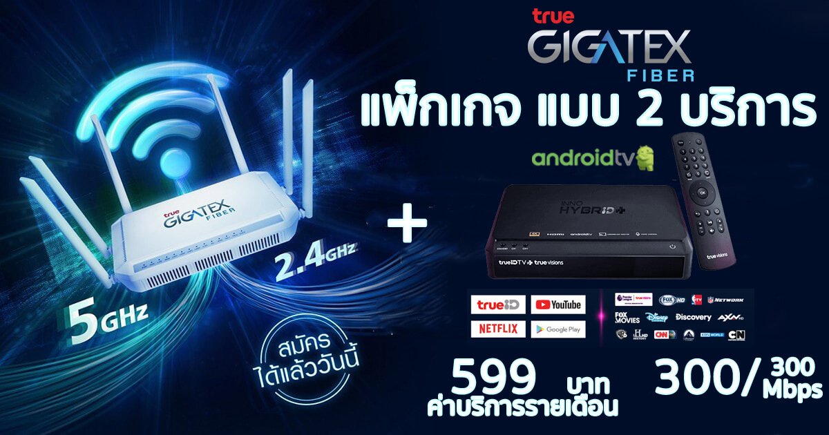 รายละเอียดแพ็กเกจติดเน็ตบ้านทรู  พร้อมกล่องทีวี เน็ตบ้าน