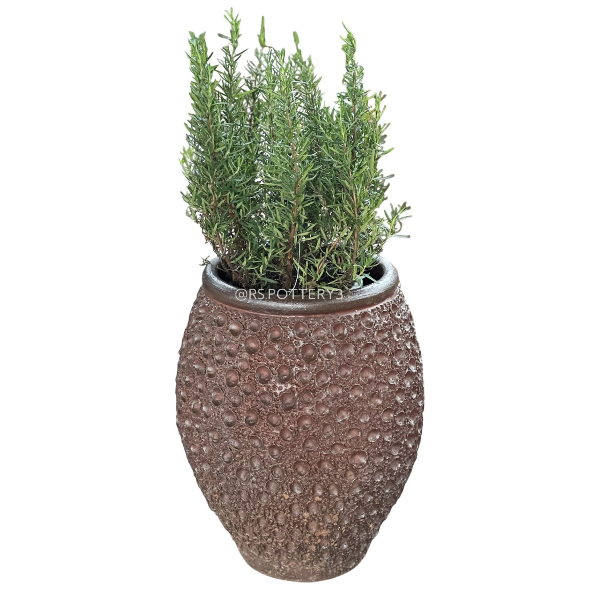 Flickr Pot Polka Dot – Black Glazed Pot with Drainage Hole