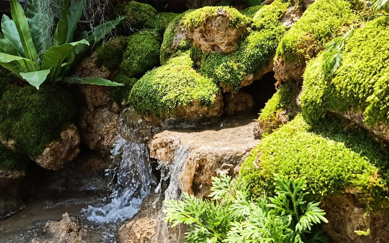 รับออกแบบ จัดสวน น้ำตก หินฟองน้ำ landscape design