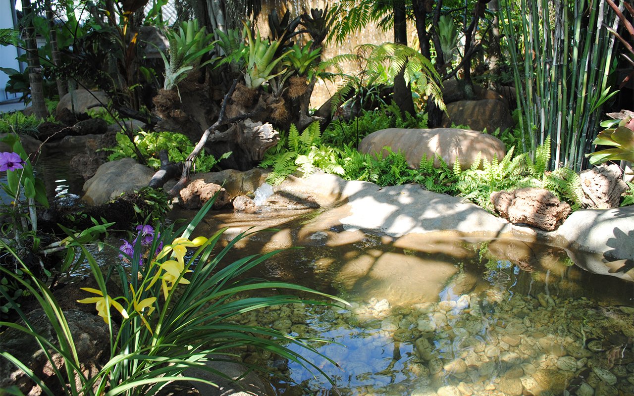 รับจัดสวน เชียงใหม่ พัทยา ชลบุรี จัดสวน น้ำตก Cafe Amazon landscape design