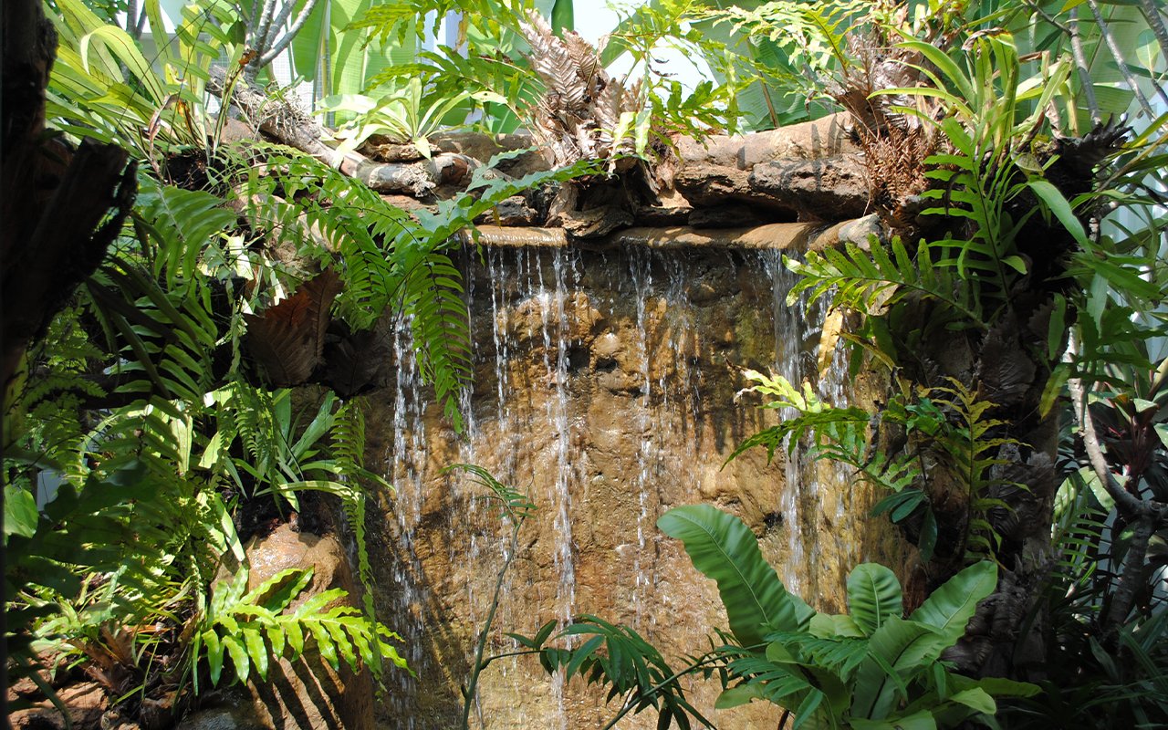 รับออกแบบ จัดสวน น้ำตก หินเทียม landscape design