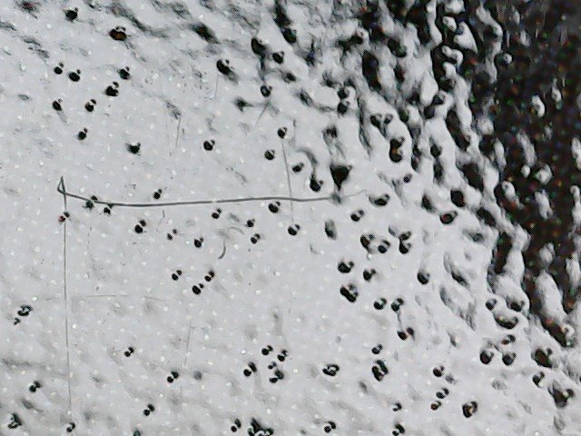 SN11003 - sqccard