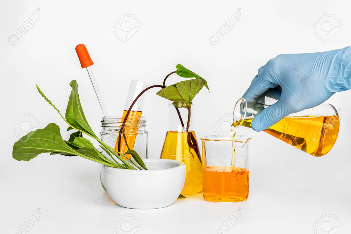 Lorem ipsum dolor sit amet, pri et feugiat consulatu. Eu per ceteros platonem. 