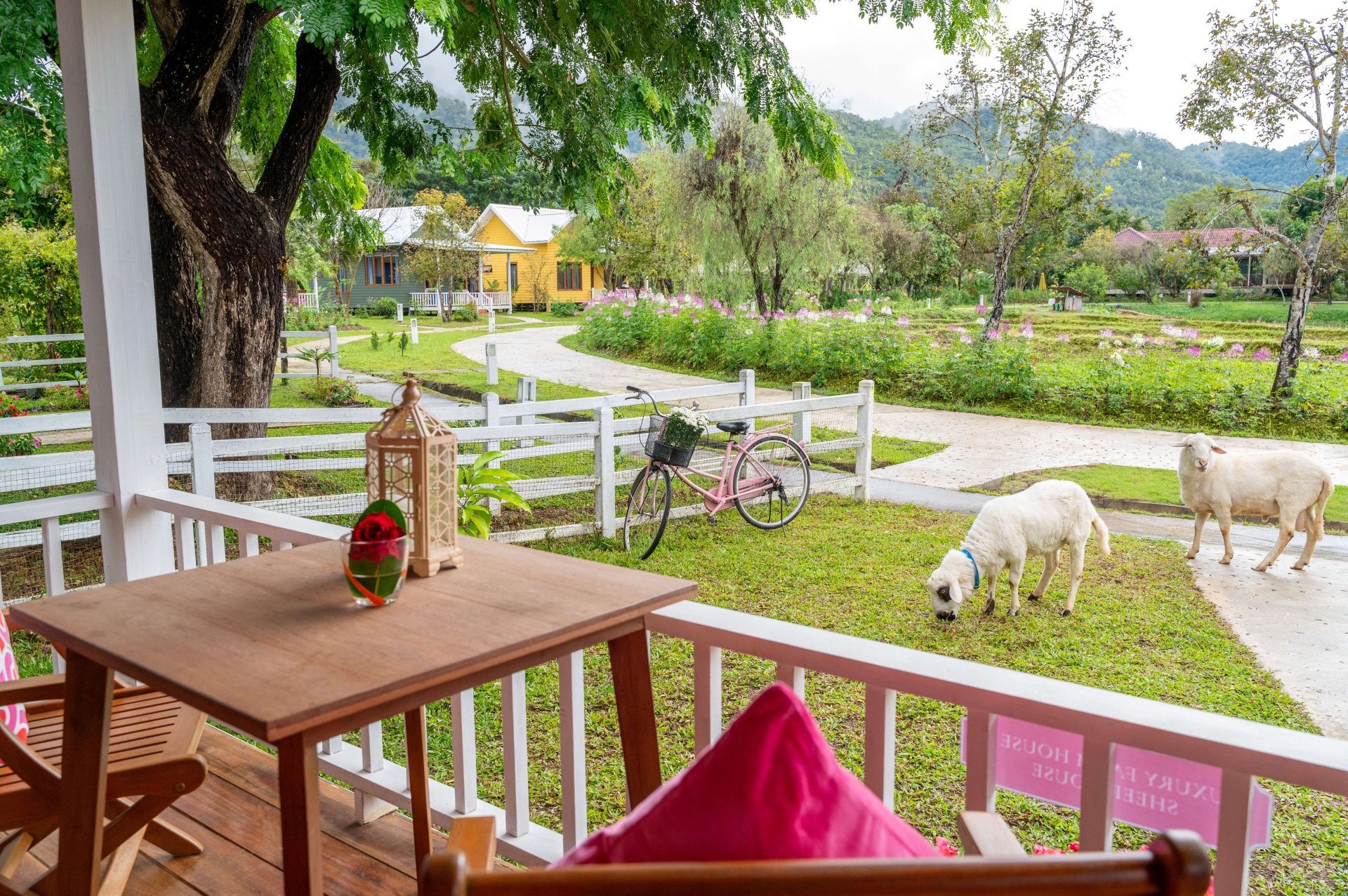 Authentic Farm Experience of Luxury Farm House Pai-Resort in Mae Hong Son