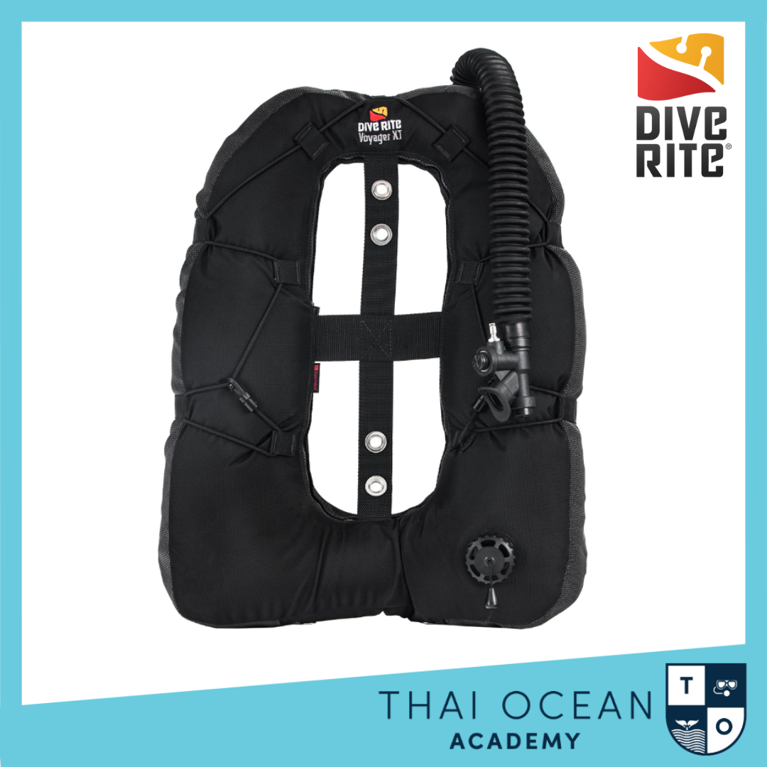 Dive Rite TRANSPLATE XT with VOYAGER XT WING (35 LB) บีซีดีวิง เพลทแสตน