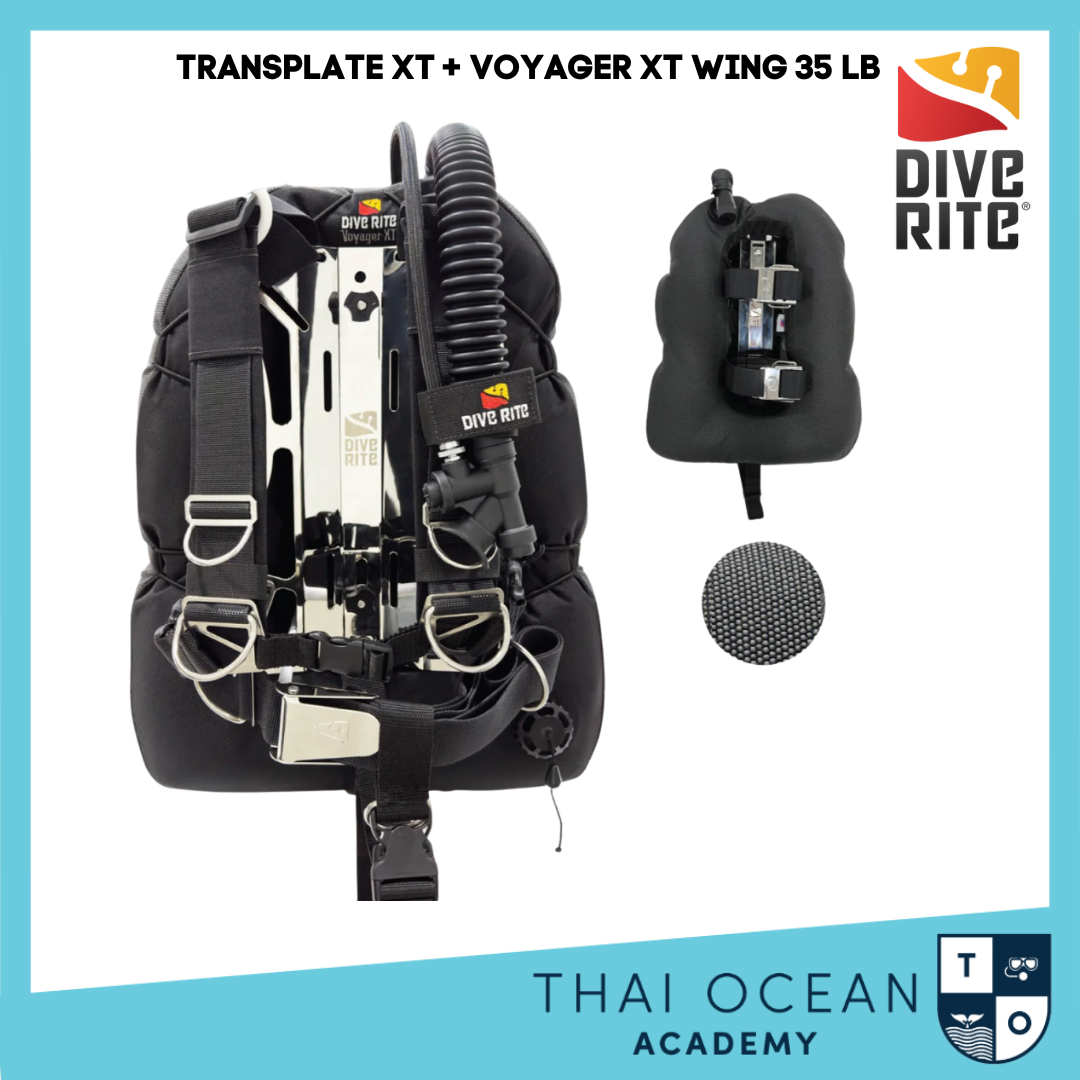 Dive Rite TRANSPLATE XT with VOYAGER XT WING (35 LB)