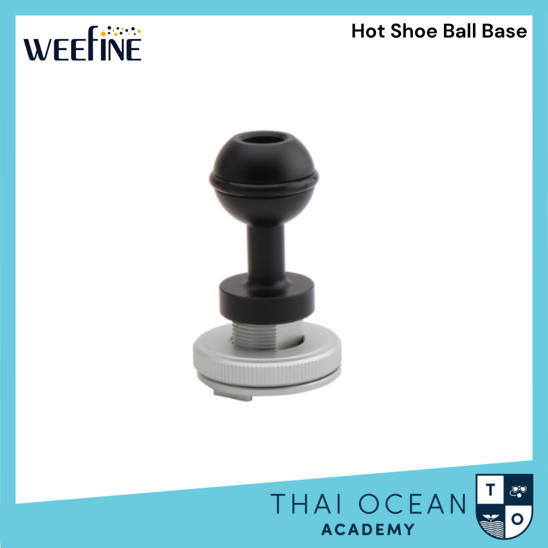 Weefine Hot Shoe Ball Base