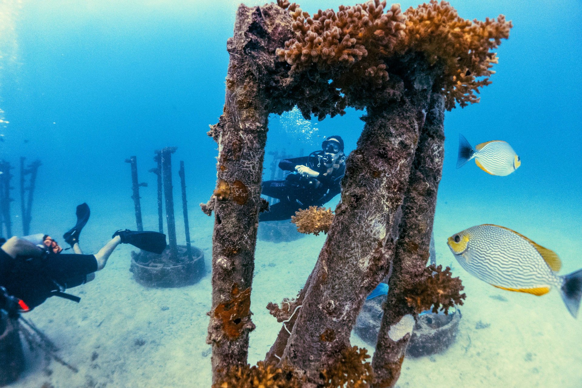 Koh Tao July 2022