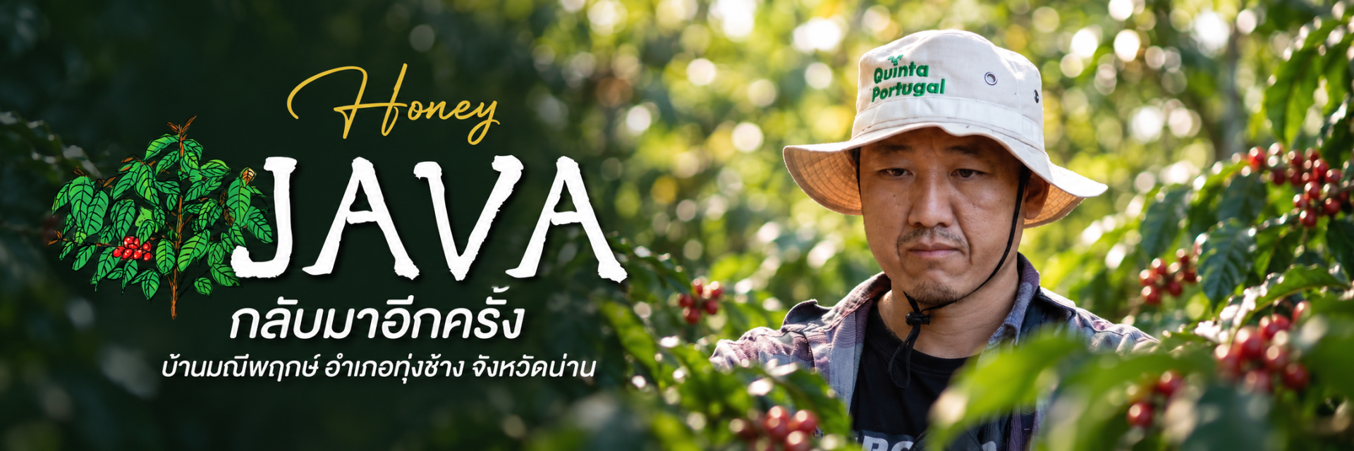 JAVA มณีพฤกษ์ รองกล้วย