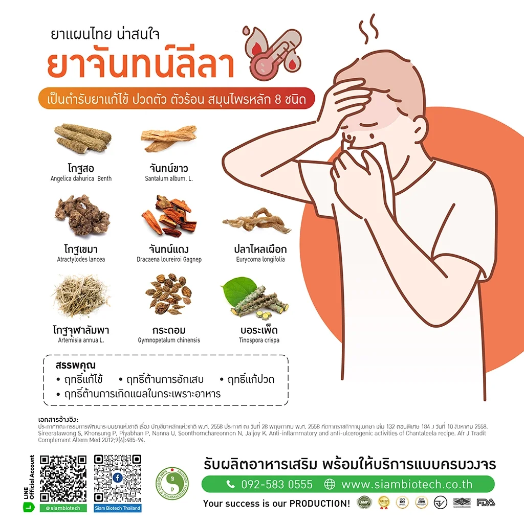 ยาจันทน์ลีลา - SiamBiotech โรงงานรับผลิต OEM ODM อาหารเสริม เสริมอาหาร ยาแผนไทย ยาแผนโบราณ เครื่องดื่ม แบบ One Stop Service