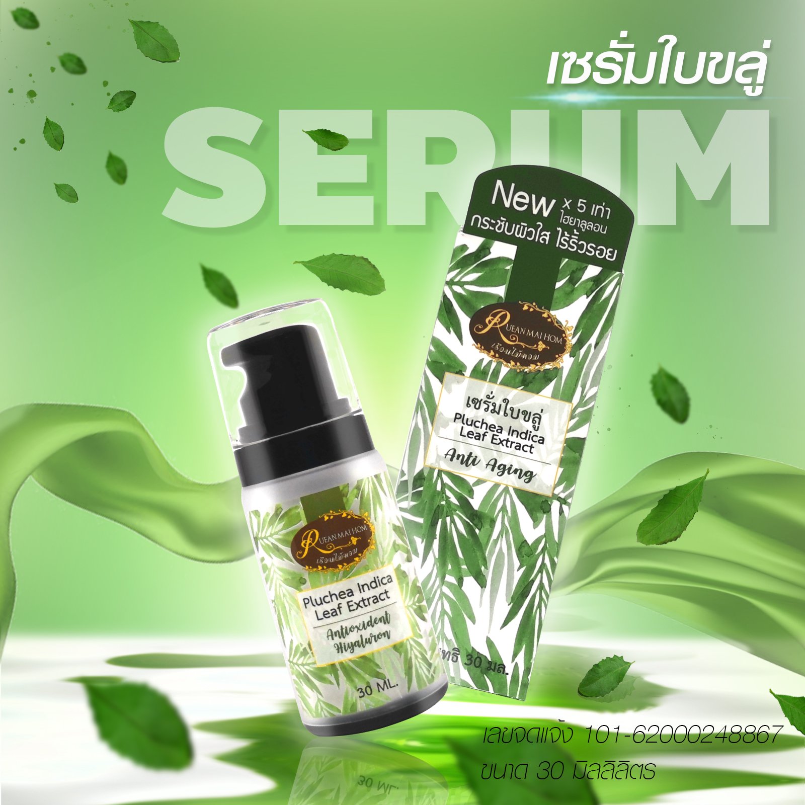 Pluchea Indica Leaf Extract Serum