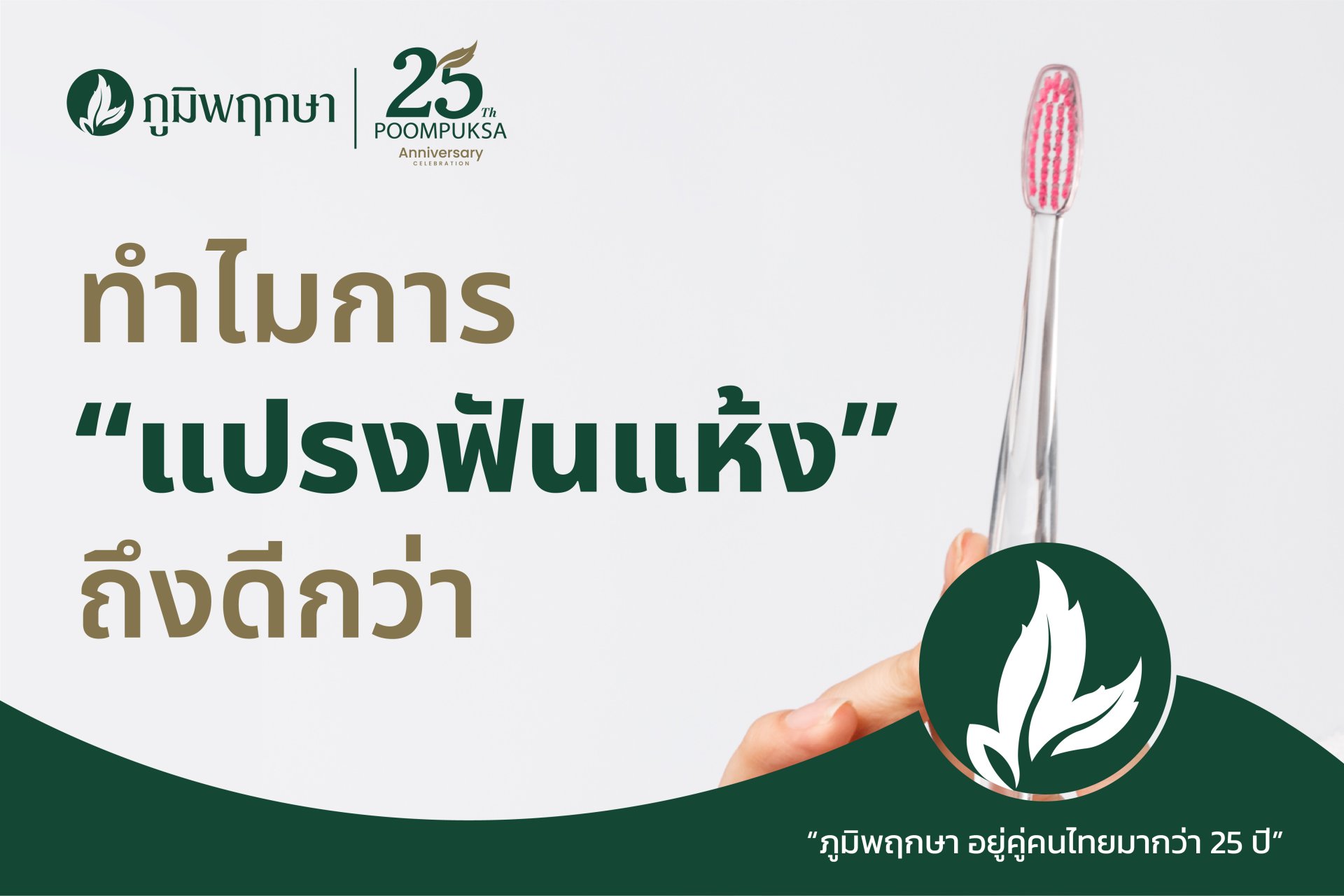 ทำไมการ แปรงฟันแห้ง ถึงดีกว่า ทำไมการ แปรงฟันแห้ง ถึงดีกว่า