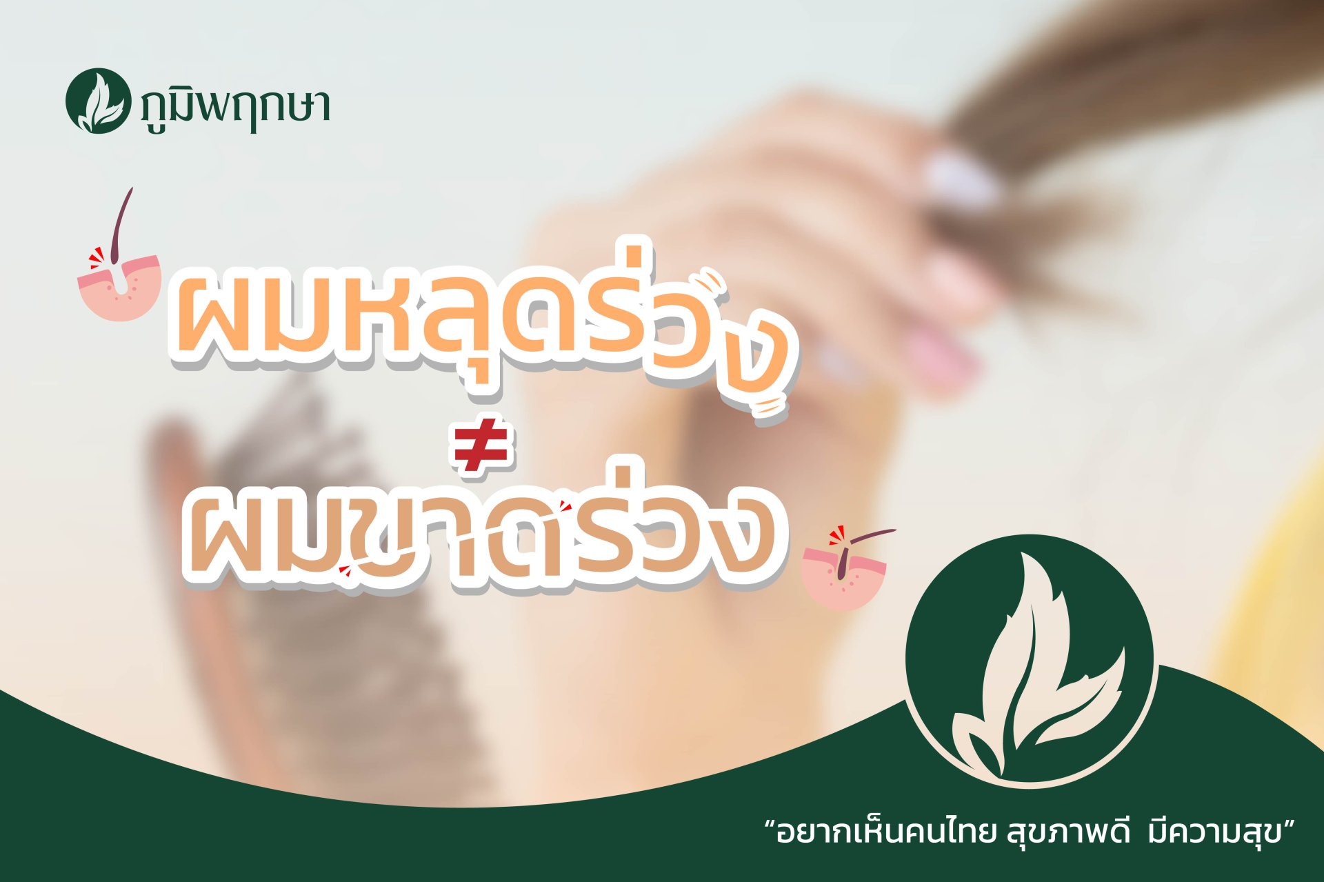 ผมหลุดร่วง ≠ ผมขาดร่วง ผมหลุดร่วง ≠ ผมขาดร่วง