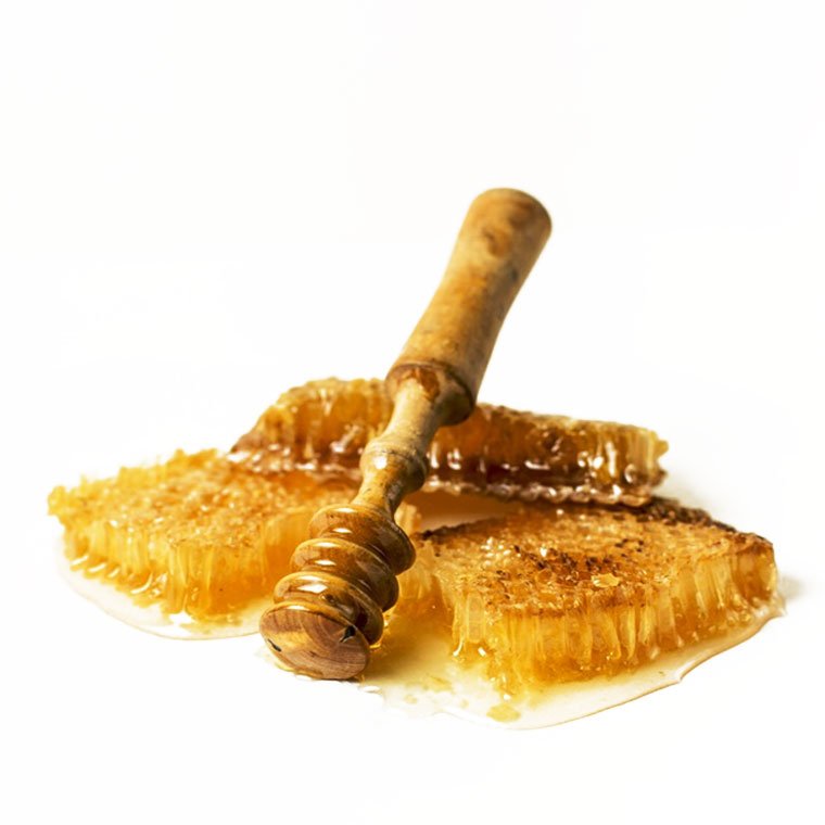น้ำผึ้ง ( honey bee) น้ำผึ้ง ( honey bee)