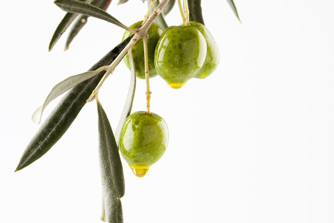 น้ำมันมะกอก (Olive oil)