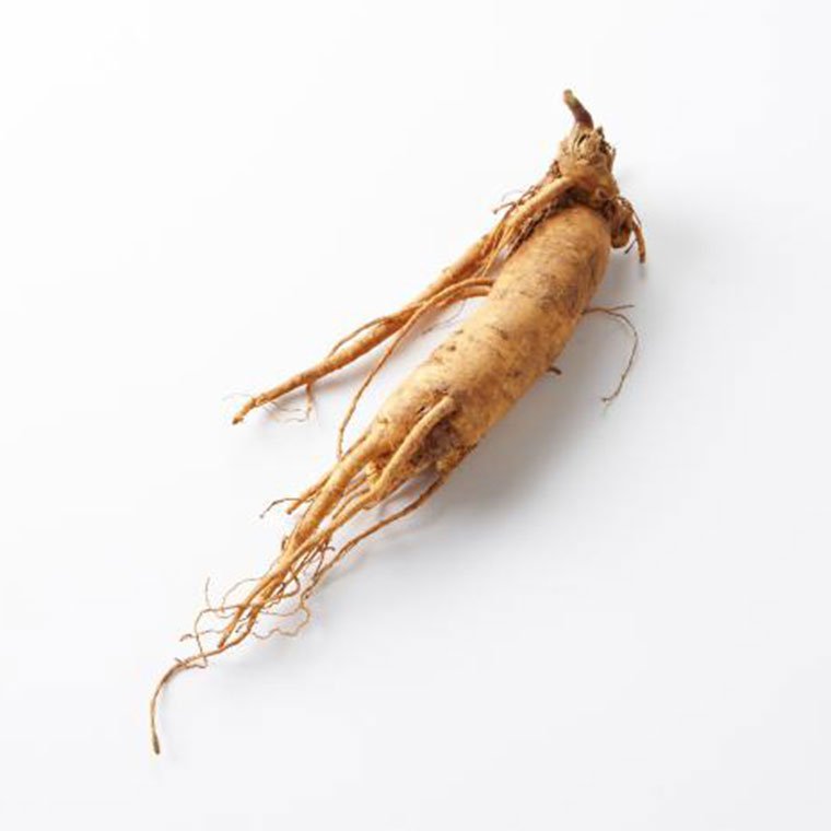 โสม (Ginseng) โสม (Ginseng)