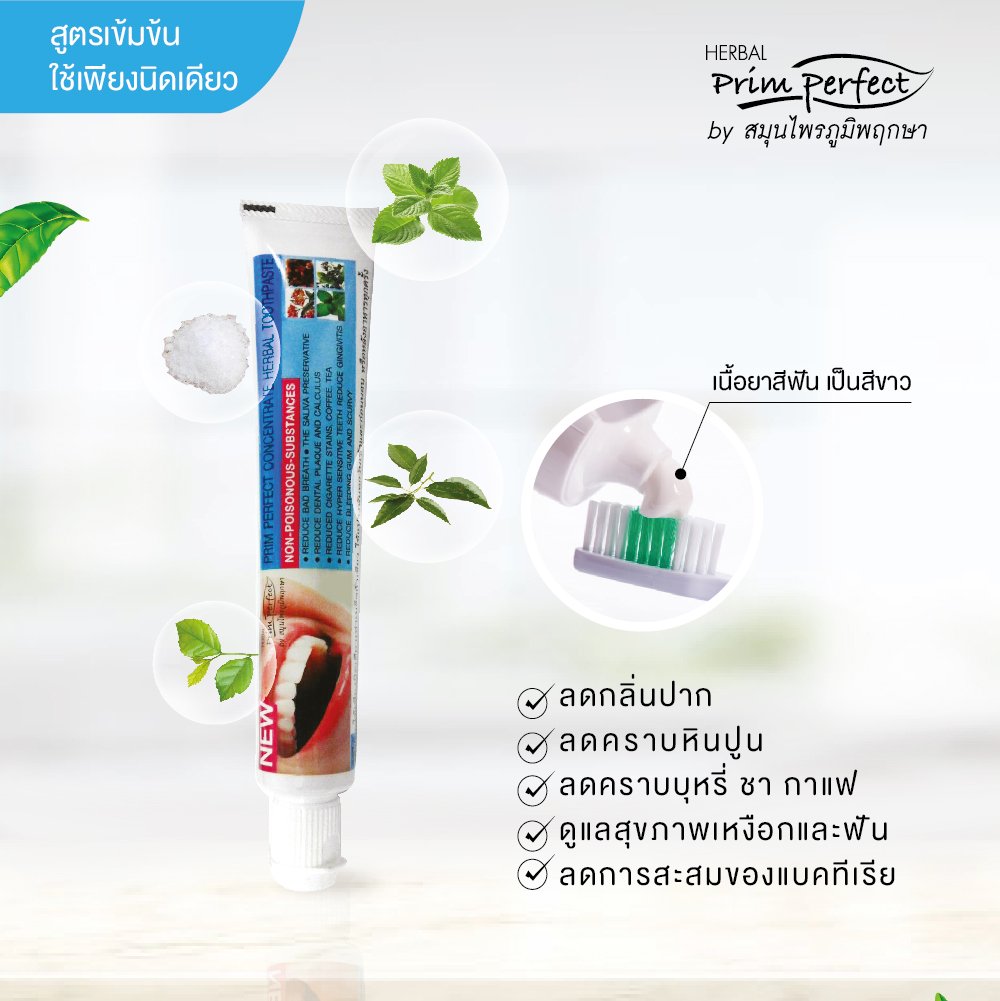 PRIM PERFECT CONCENTRATE HERBAL TOOTHPASTE - poompuksa