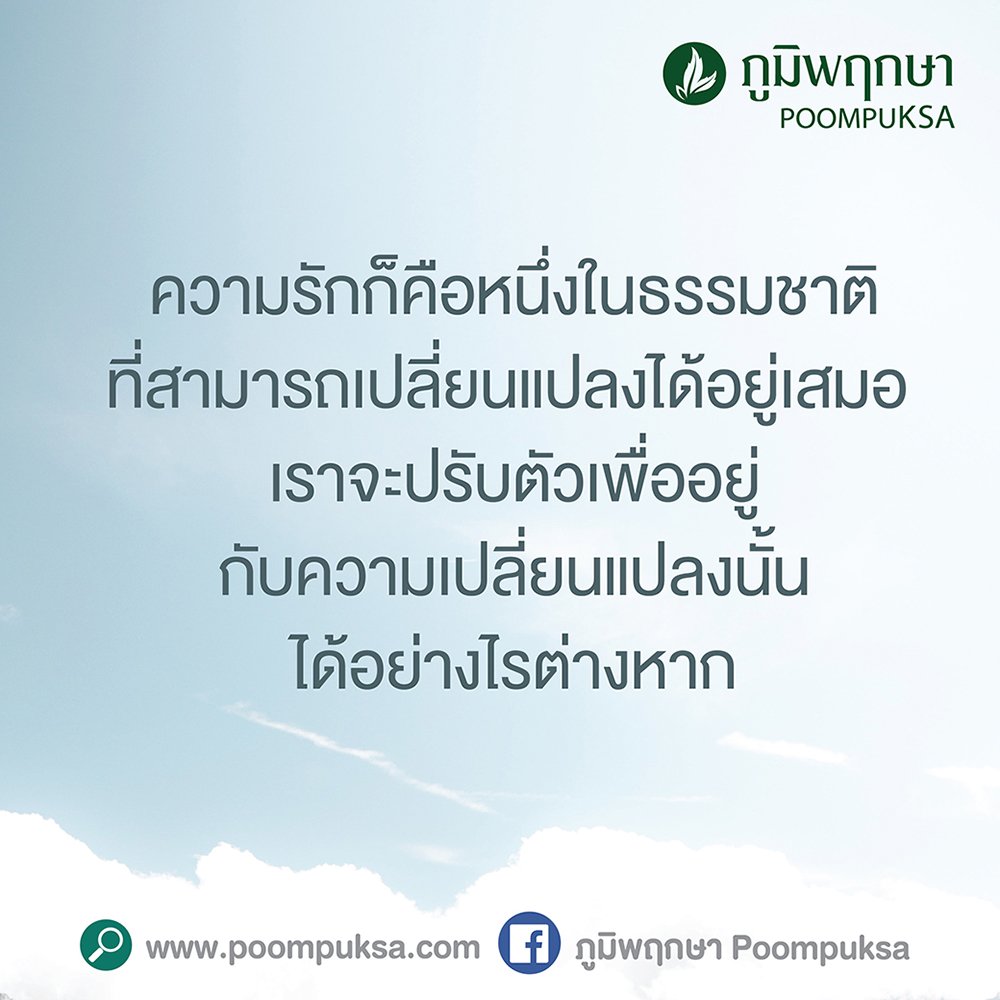 รวมคำคมชีวิตคู่ คู่ชีวิตที่พร้อมจะจับมือร่วมเดินทางไปด้วยกัน - Poompuksa