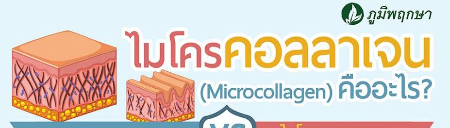 ไมโครคอลลาเจน (Microcollagen) คืออะไร?
